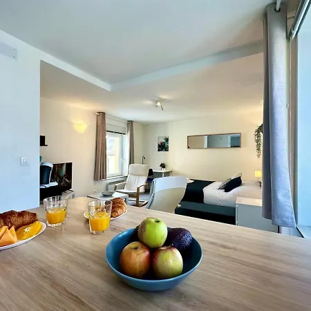 M 101 Pause Détente Proche Centre Metz Appartement *